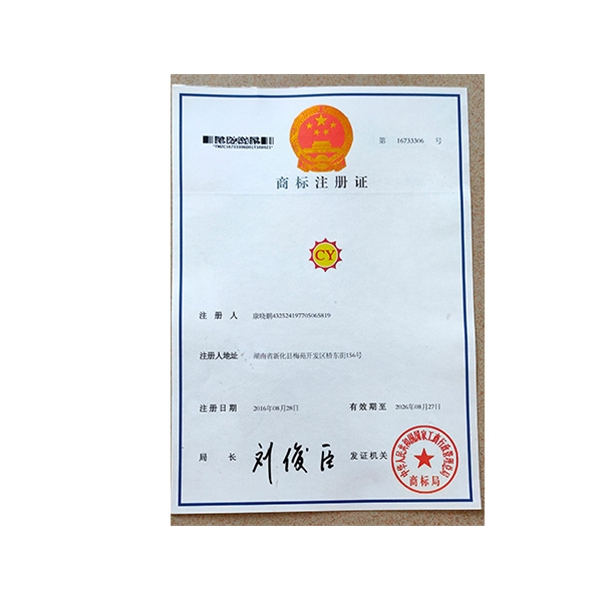 公司證書(shū) (2)